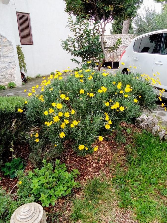 Apartments Rina Rovinj Extérieur photo